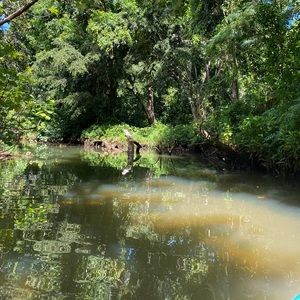 Meet your Posher, Mele